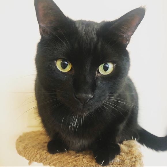 Meet your Posher, Tarah - Picture 1 of 1